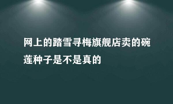 网上的踏雪寻梅旗舰店卖的碗莲种子是不是真的