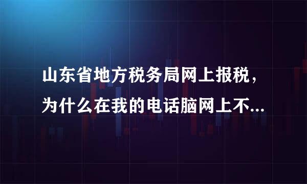 山东省地方税务局网上报税，为什么在我的电话脑网上不能向表格里面输入数字进行申报，请专业人士给回答。