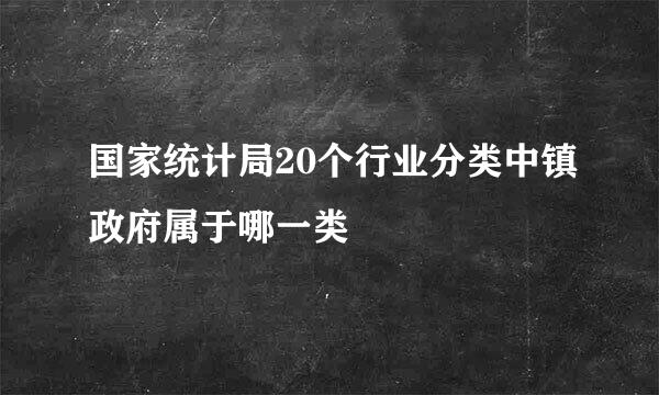 国家统计局20个行业分类中镇政府属于哪一类