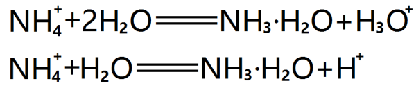 铵根离子的水解方程式