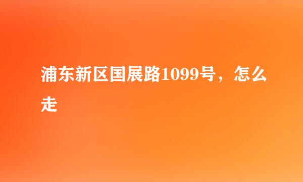 浦东新区国展路1099号，怎么走