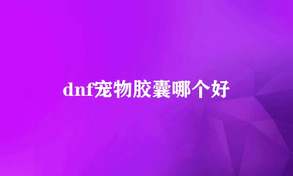 dnf宠物胶囊哪个好