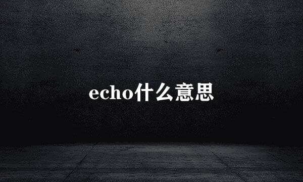 echo什么意思