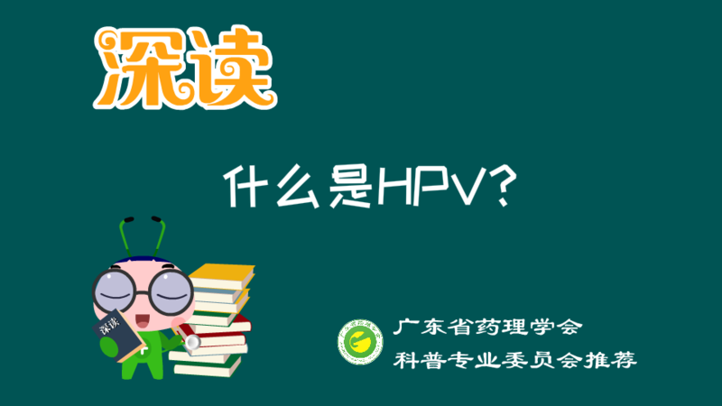 HPV是什么意思