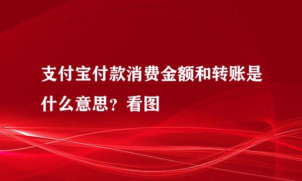 支付宝付款消费金额和转账是什么意思？看图