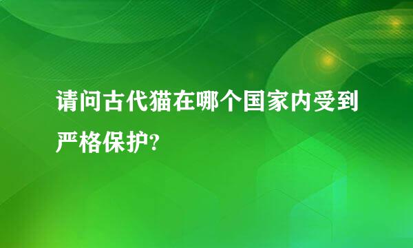 请问古代猫在哪个国家内受到严格保护?