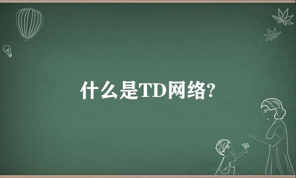 什么是TD网络?