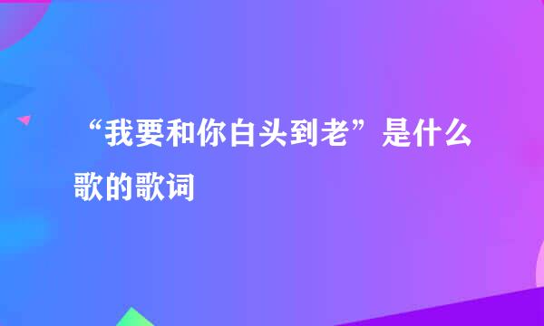 “我要和你白头到老”是什么歌的歌词