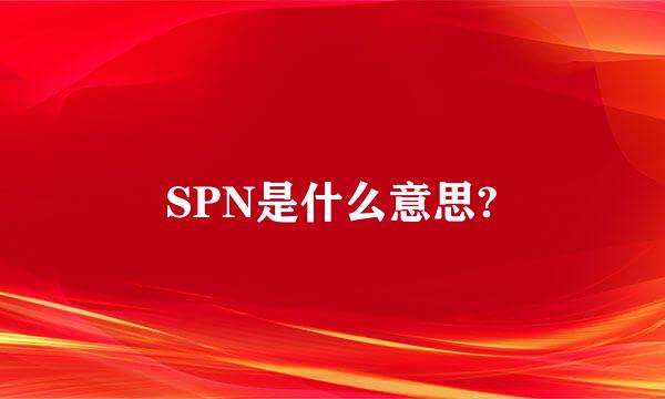 SPN是什么意思?