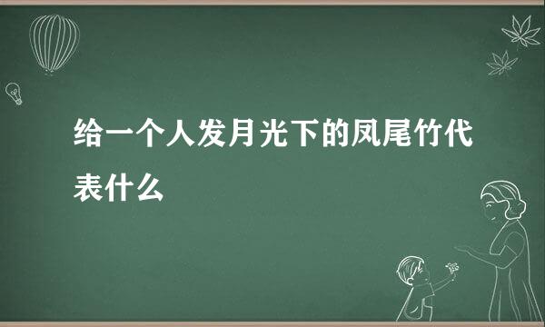 给一个人发月光下的凤尾竹代表什么