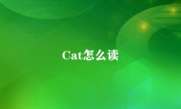 Cat怎么读