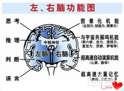 怎样快速提高记忆力