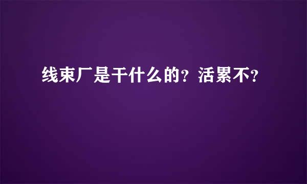 线束厂是干什么的？活累不？