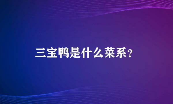 三宝鸭是什么菜系？