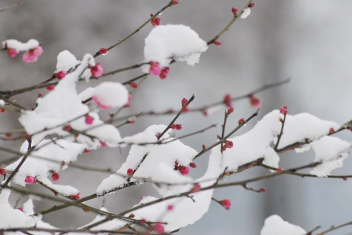 雪的形成是什么物态变化