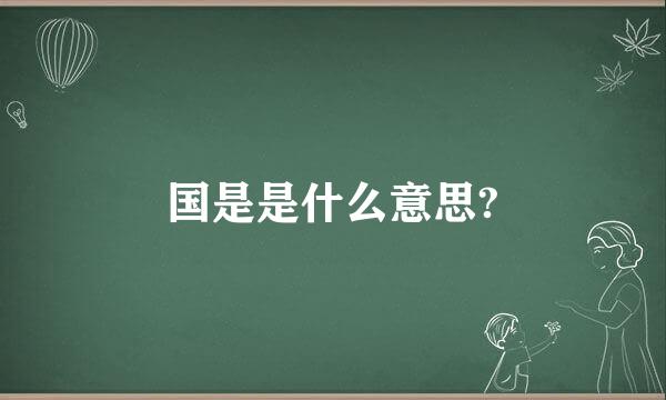 国是是什么意思?