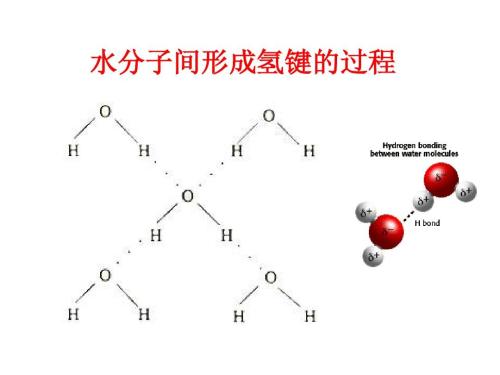 氢键的强弱如何比较