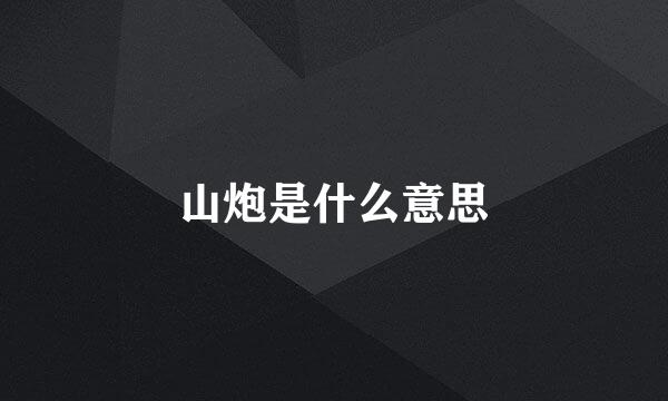 山炮是什么意思