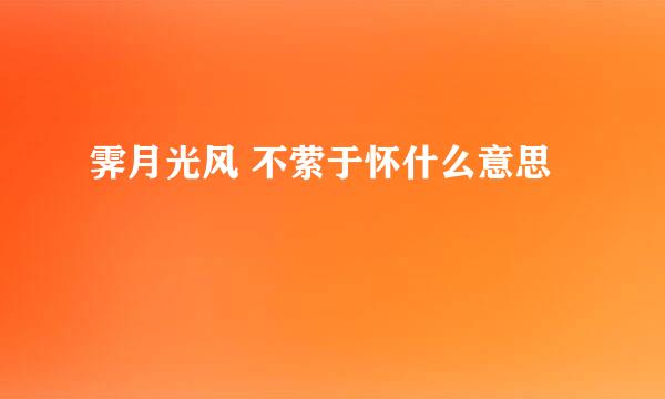 霁月光风 不萦于怀什么意思