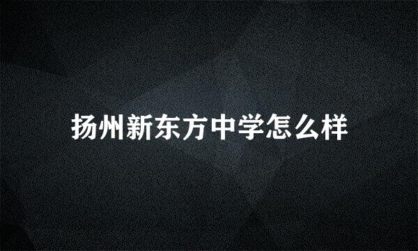 扬州新东方中学怎么样