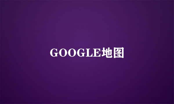 GOOGLE地图