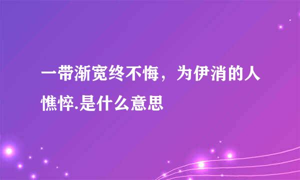 一带渐宽终不悔，为伊消的人憔悴.是什么意思