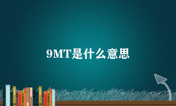 9MT是什么意思