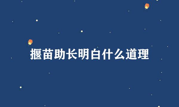 揠苗助长明白什么道理