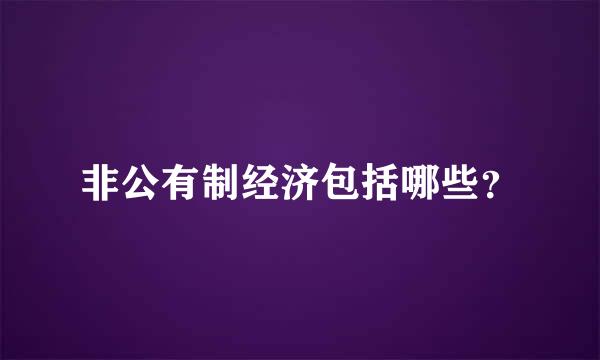 非公有制经济包括哪些？