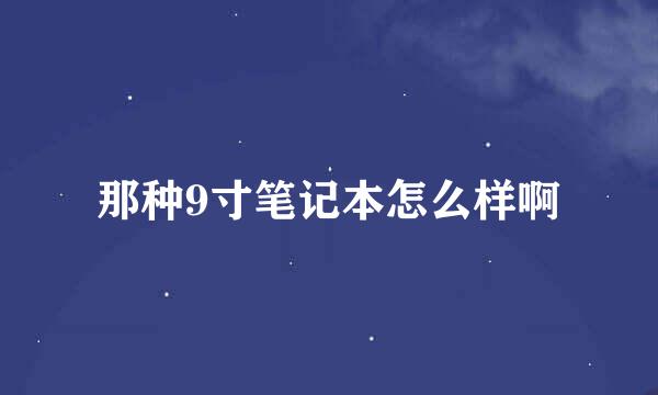 那种9寸笔记本怎么样啊