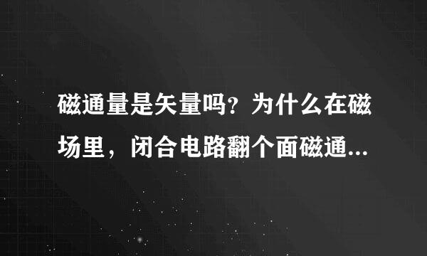 磁通量是矢量吗？为什么在磁场里，闭合电路翻个面磁通量会改变？