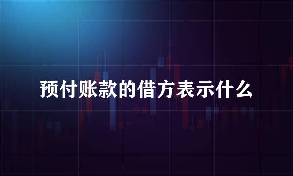 预付账款的借方表示什么