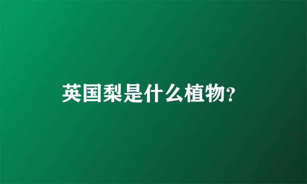 英国梨是什么植物？