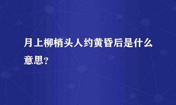 月上柳梢头人约黄昏后是什么意思？