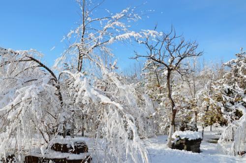 大雪节气习俗