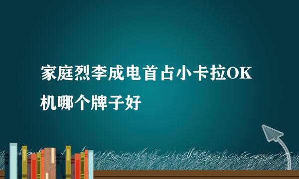 家庭烈李成电首占小卡拉OK机哪个牌子好