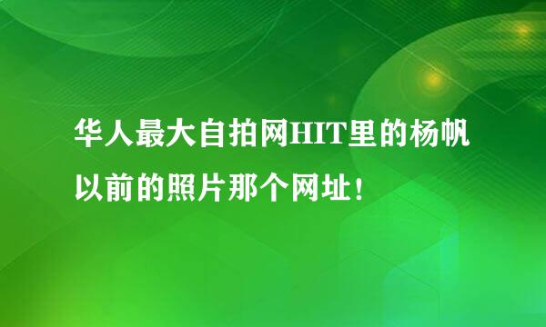 华人最大自拍网HIT里的杨帆以前的照片那个网址！