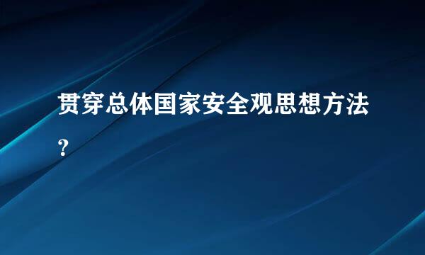 贯穿总体国家安全观思想方法？