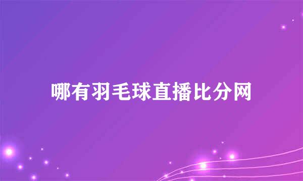 哪有羽毛球直播比分网