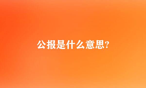 公报是什么意思?