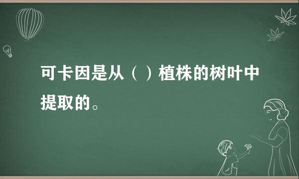 可卡因是从（）植株的树叶中提取的。