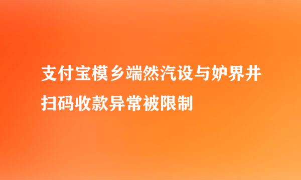 支付宝模乡端然汽设与妒界井扫码收款异常被限制