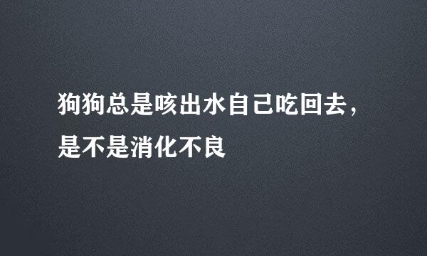 狗狗总是咳出水自己吃回去，是不是消化不良