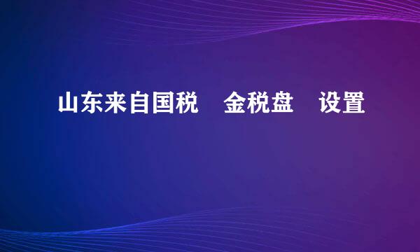 山东来自国税 金税盘 设置