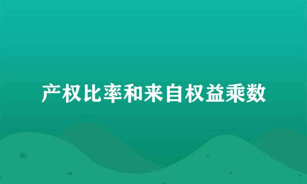 产权比率和来自权益乘数