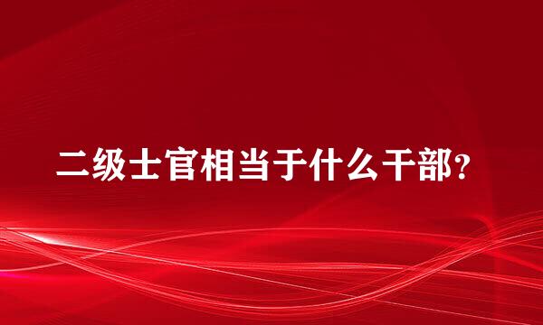 二级士官相当于什么干部？