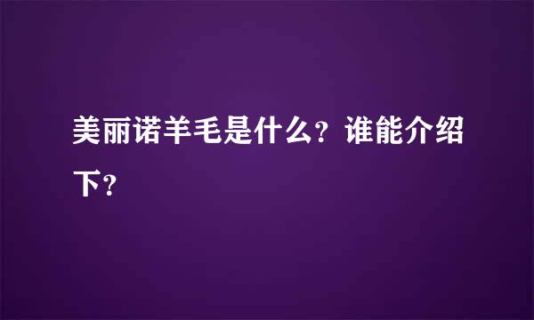 美丽诺羊毛是什么？谁能介绍下？