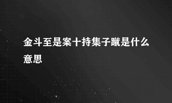 金斗至是案十持集子蹴是什么意思