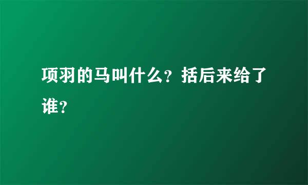 项羽的马叫什么？括后来给了谁？