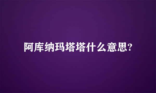 阿库纳玛塔塔什么意思?